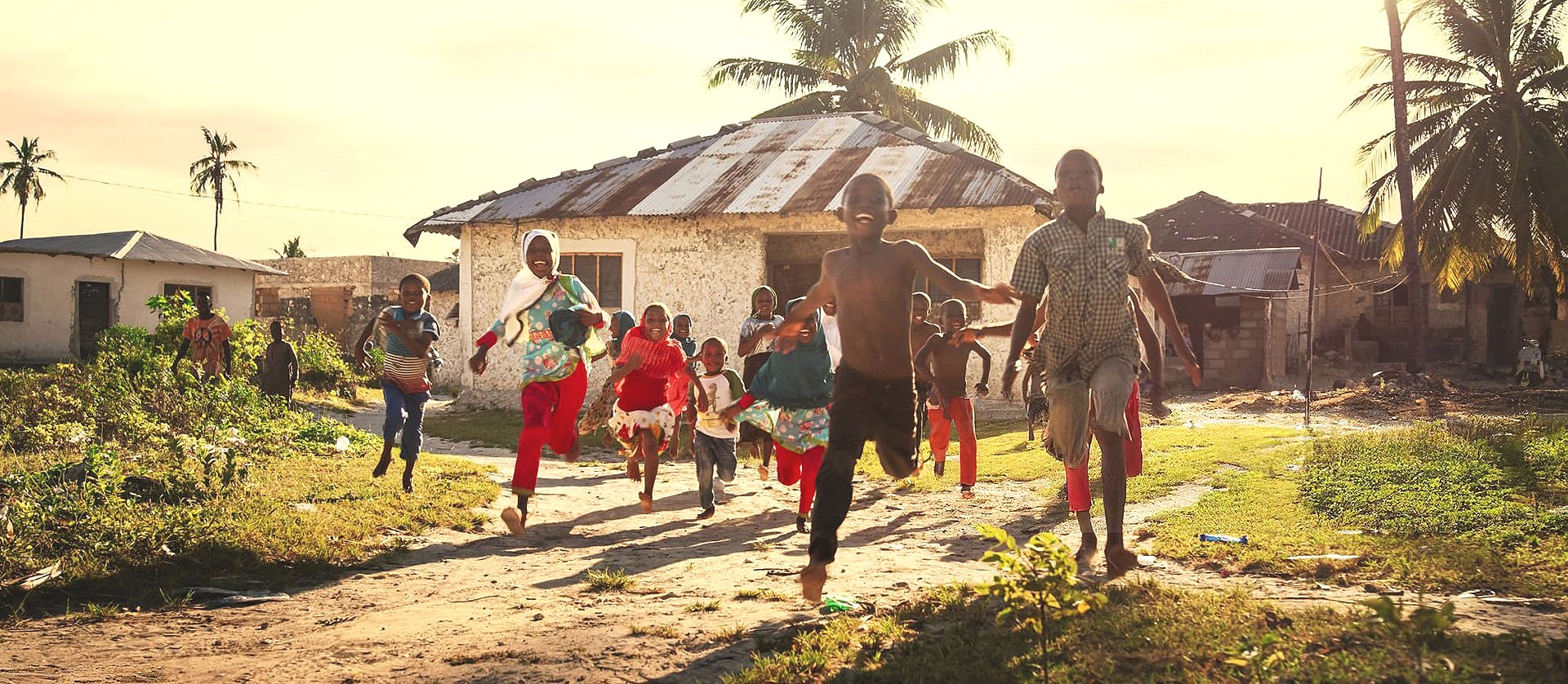 ZASOI Flagship Program